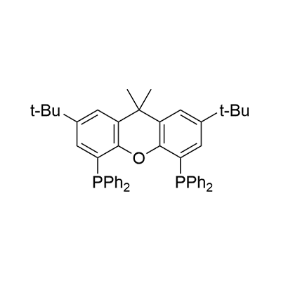 (R,R)-2,7-DI-TERT-BUTYL-9,9-DIMETHYL-4,5-BIS(METHYLPHENYLPHOSPHINO)XANTHENE